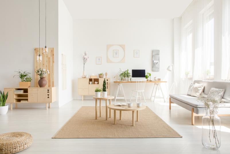 Beljenje sten Savinjska