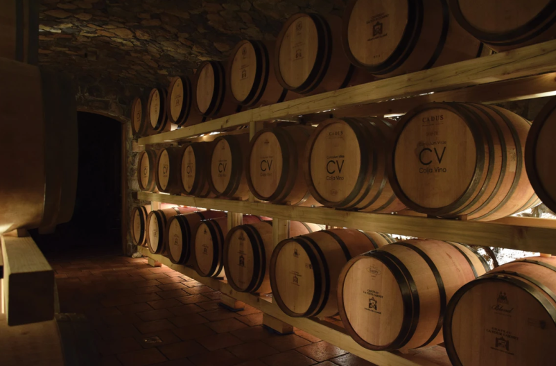 Rdeča in bela vina Kras