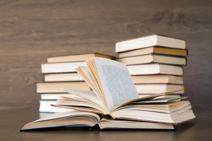 Kaj zajema literarno ustvarjanje