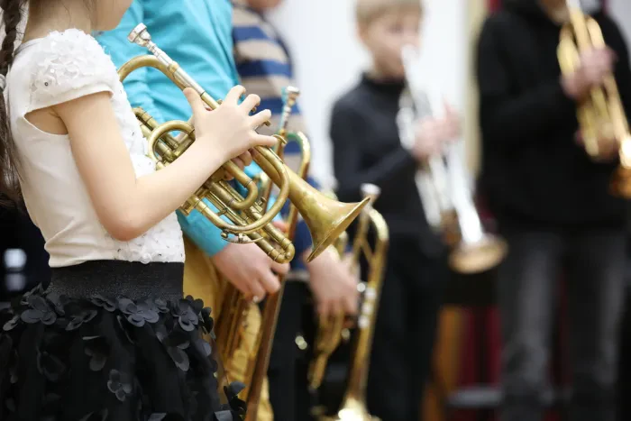 Postanite član orkestra ali ansambla v Sloveniji