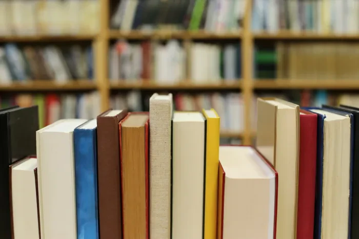 Povežite se z literarnimi umetniki tudi sami
