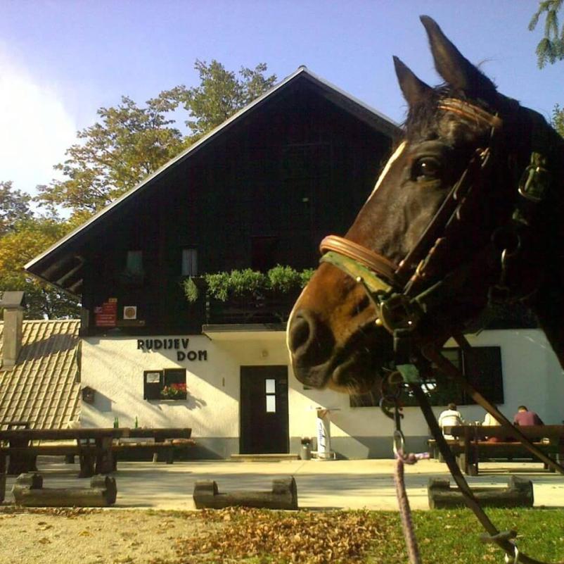 planinska koča Rudijev dom v Vzhodni Sloveniji