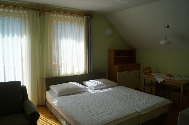 Cheap apartments for rent Kamnik