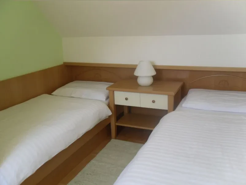 Rent a cheap apartment in Kamnik