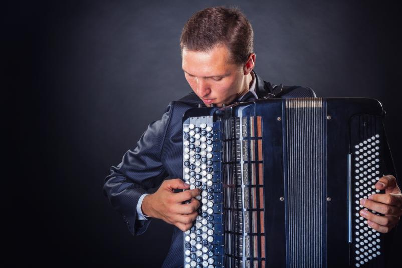 Izdelava harmonike Novo mesto, Dolenjska