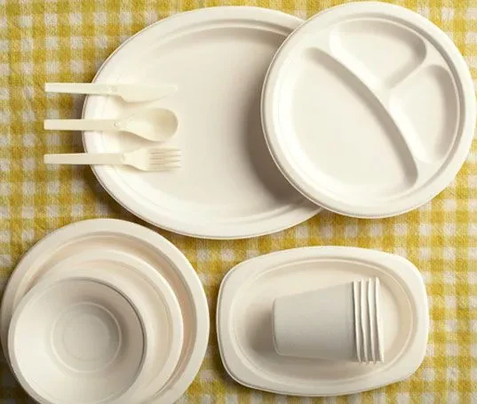 Smo konkurenčni ponudniki plastične in papirne gostinske galanterije na Primorskem