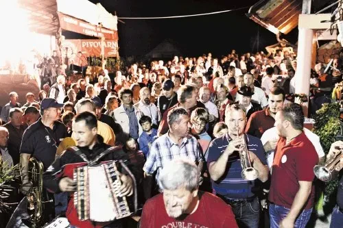 Degustacija domačih vin in salam Dolenjska