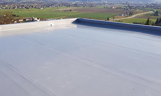 Postavljanje in menjava strehe Savinjska