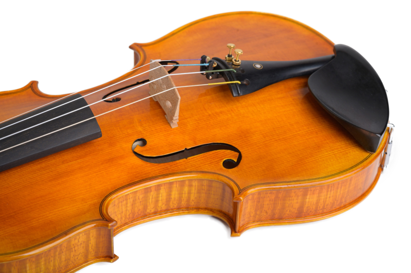 Violina Gorenjska