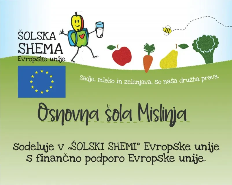 Šolanje na OŠ Mislinja