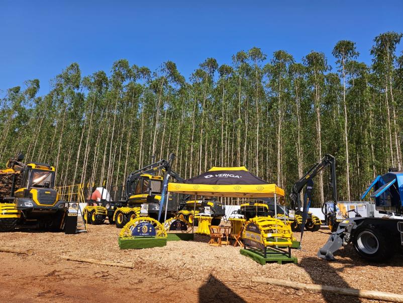 Prodaja zaščitnih verig v Sloveniji