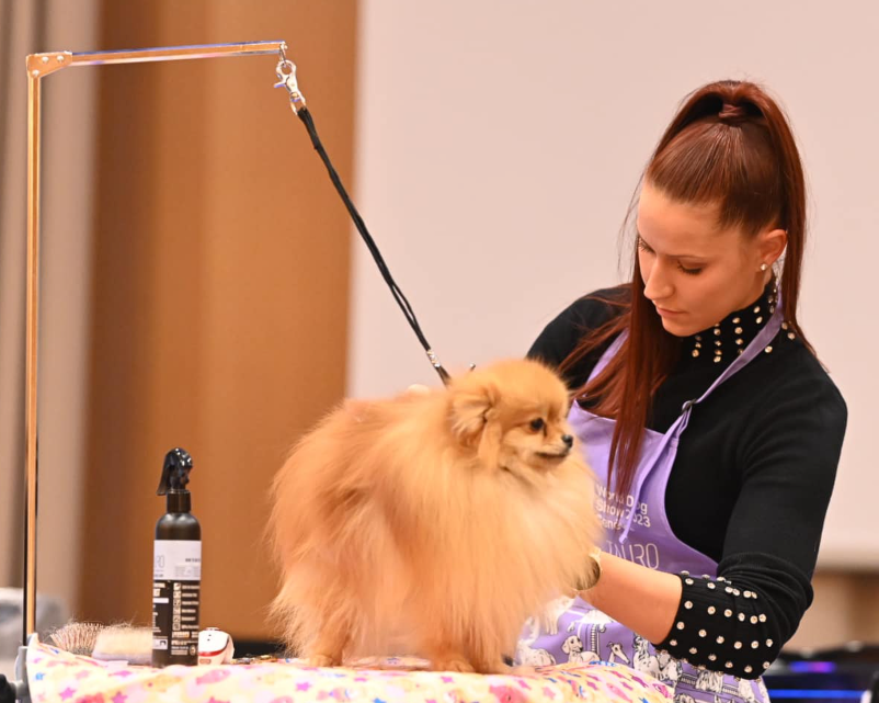 Dober pasji salon Škofja Loka