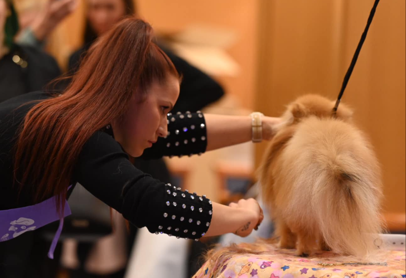 Nega in striženje psov Škofja Loka Gorenjska