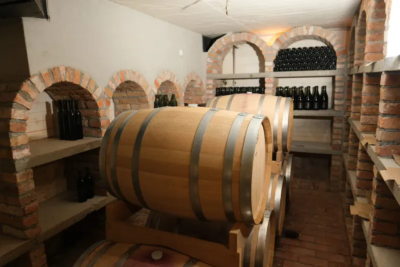 Trajnostna vina