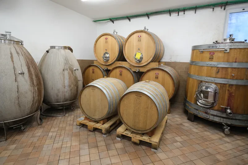 Ekološka pridelava vina