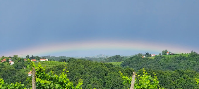 Apartment rental Jeruzalem, Slovenia