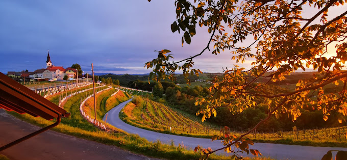 Cheap accommodation Jeruzalem, Slovenia