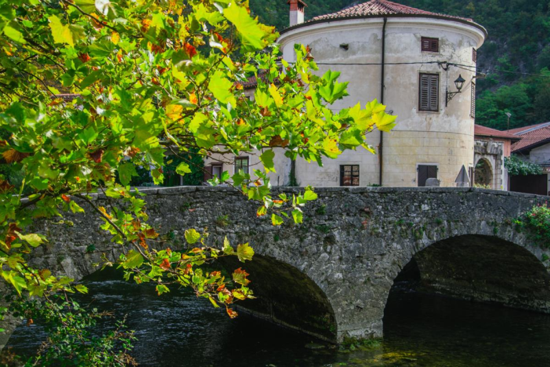 Guided tours Vipava Valley