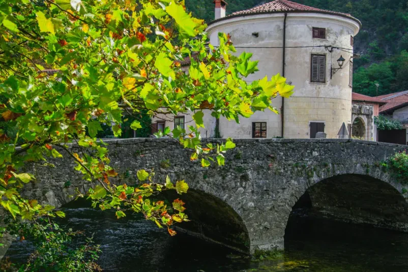 Guided tours Vipava Valley