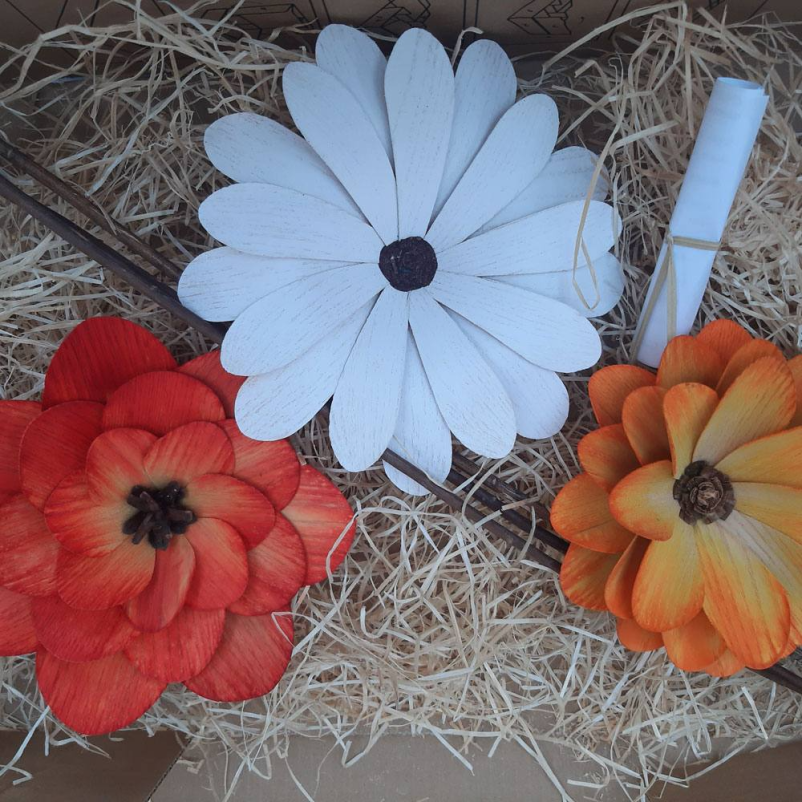 Leseni izdelki Slovenija