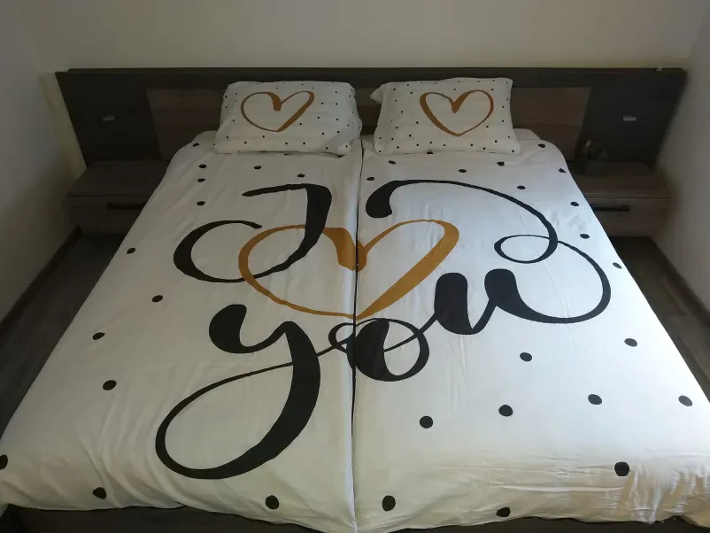Lepo urejen apartma Podravska