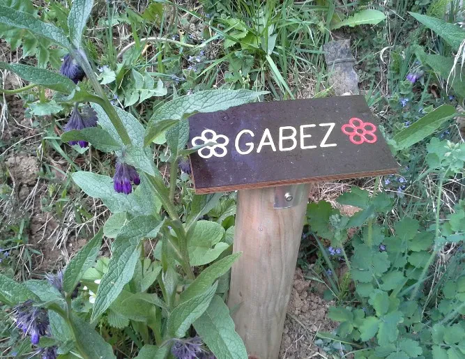Prodaja domačega medu 