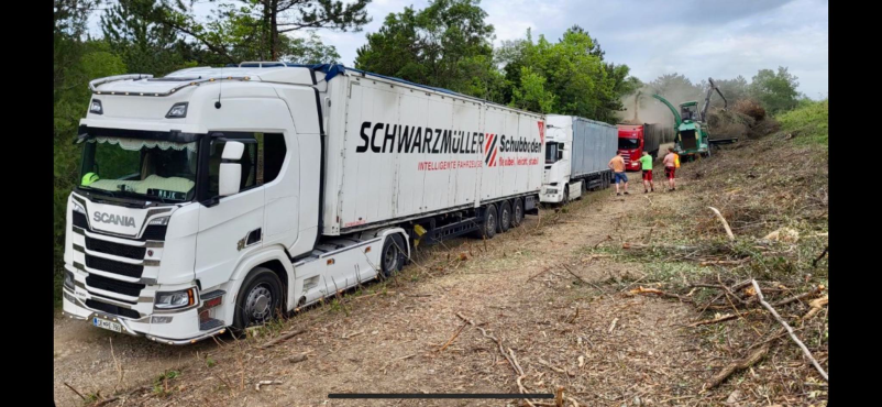 Prodaja lesa Savinjska