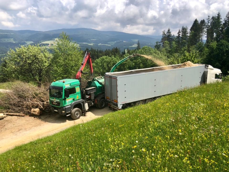 Žaganje lesa Savinjska