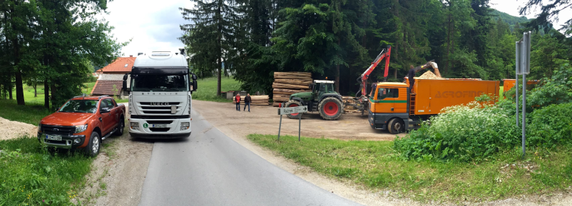 Prodaja in žaganje lesa Savinjska