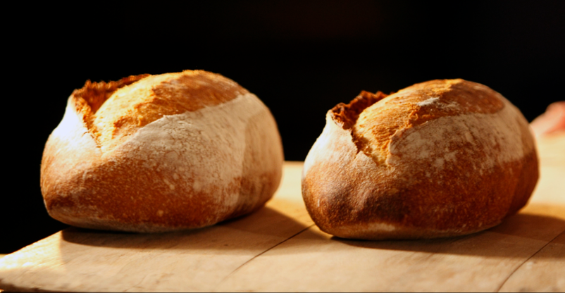 Prodaja kvasa Osrednja Slovenija