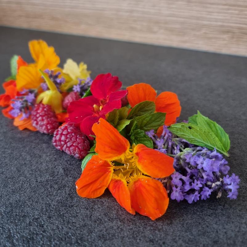 Nasveti o vrtnarstvu