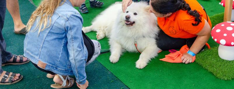 Terapevtski psi Ljubljana, Slovenija