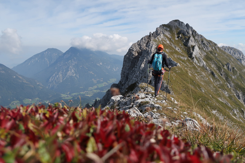 Affordable vintgar transfer from Bled