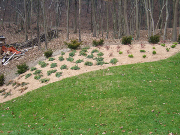 Zakaj se odločiti za nas, če iščete storitve vrtnarstva in urejanja okolice v Ljubljani z okolico?