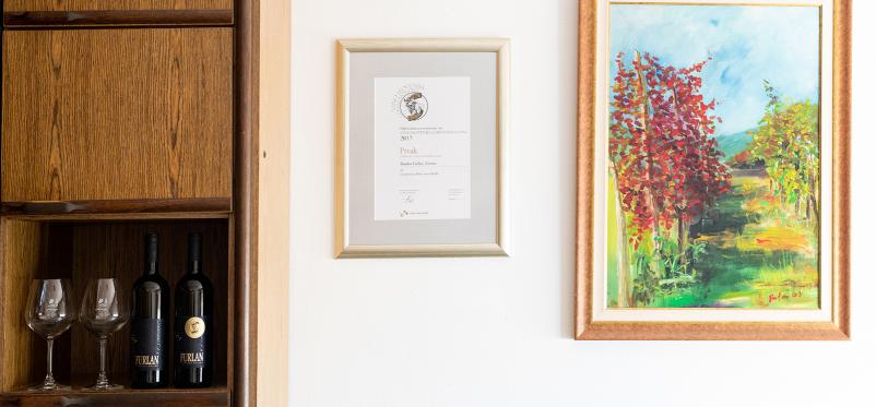 Vrhunska rdeča vina Goriška