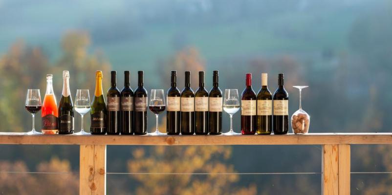 Wine tasting Podčetrtek, Slovenia