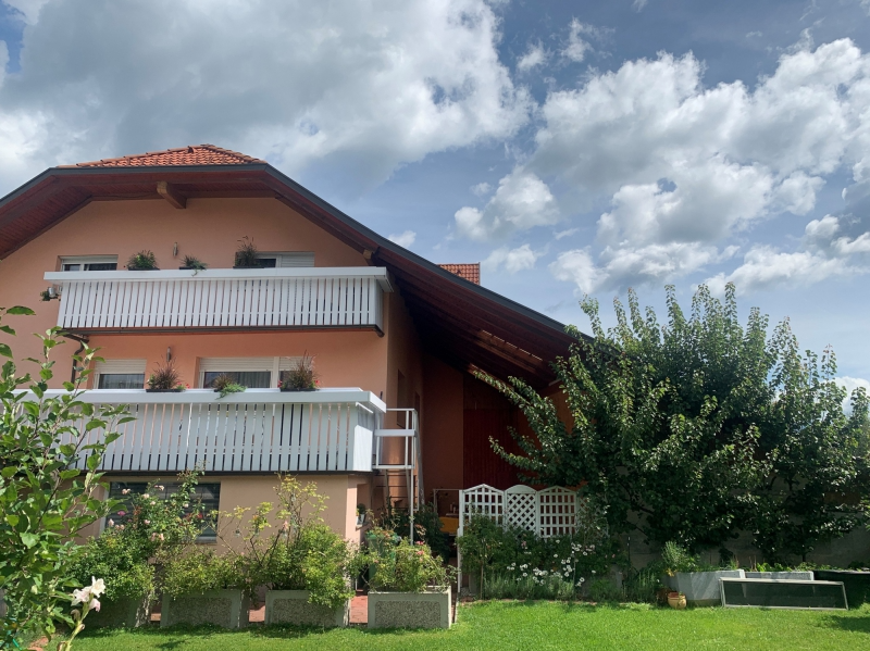 Ugodni apartma Mojstrana in okolica