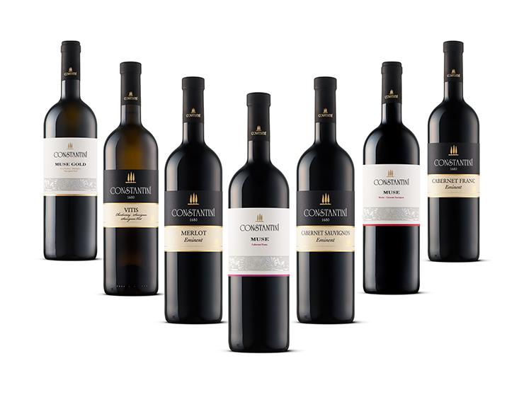 Degustacija vin Goriška Brda