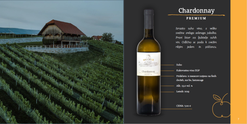 Degustacije vina za skupine Savinjska