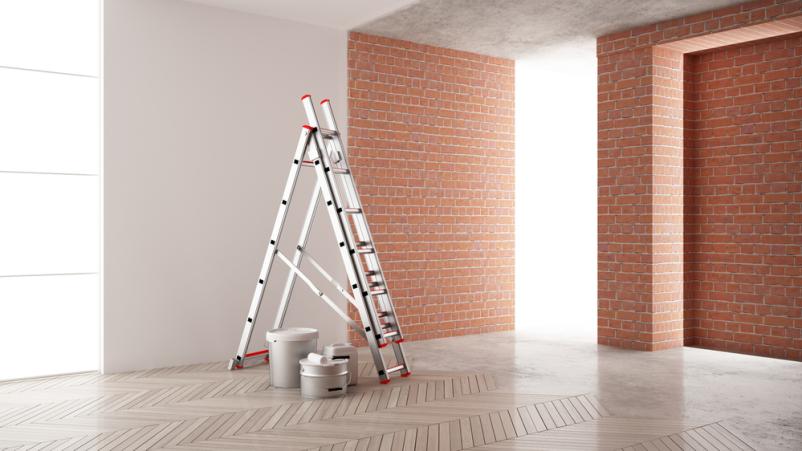 Dober slikopleskar Savinjska