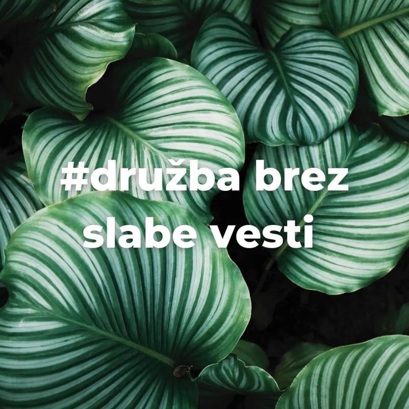 Društvo Knof Sevnica