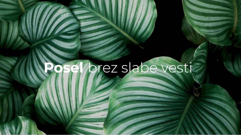 Dogodki v društvu Knof Sevnica