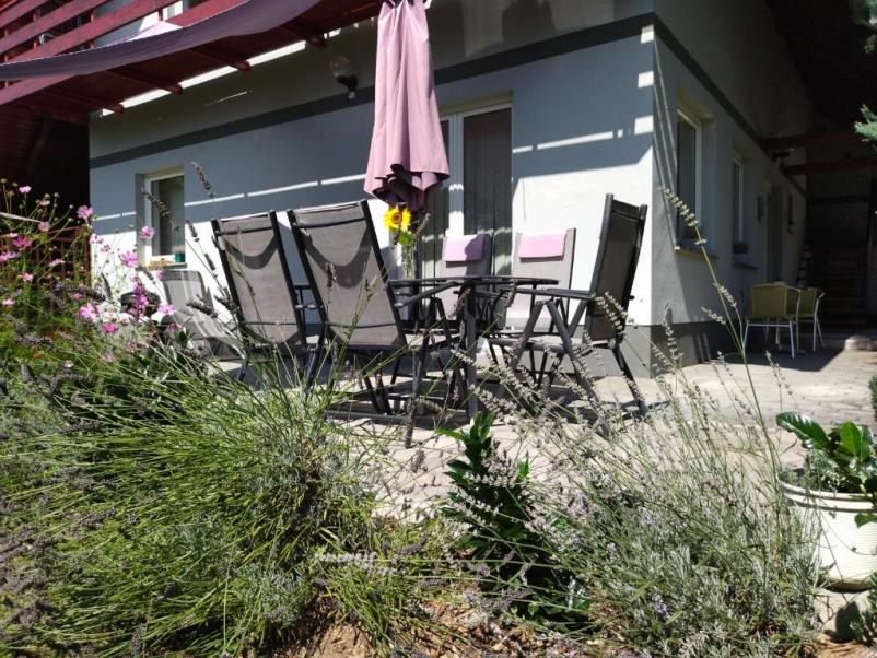 Rent a family apartment near Lake Bled