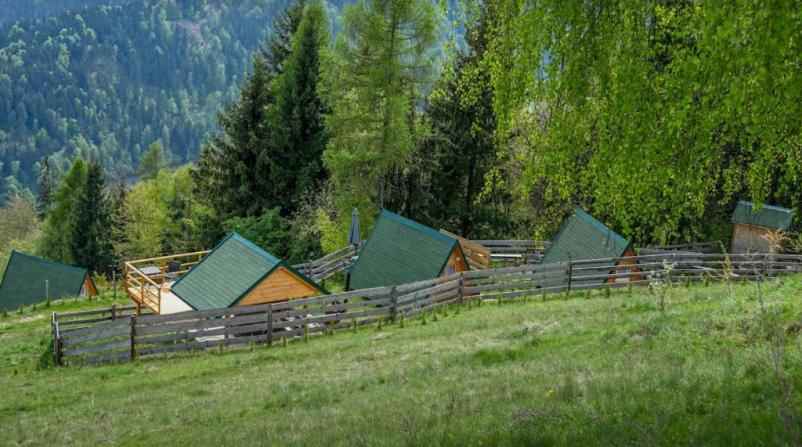 Okolica Glamping hišice Muta