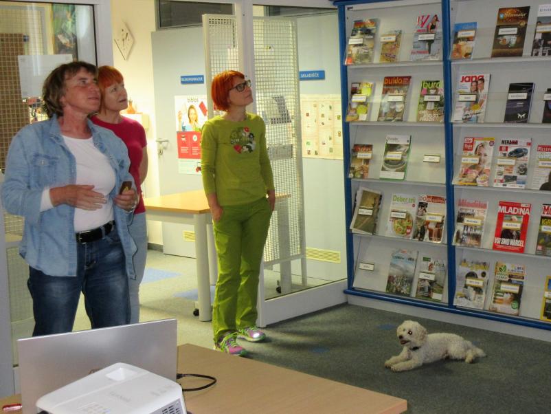 Članarina knjižnica, Koroška