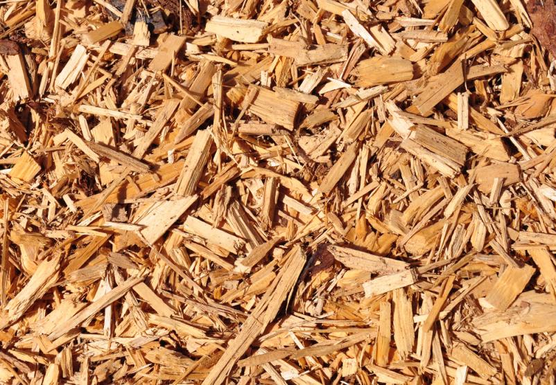 Biomasa Pomurje