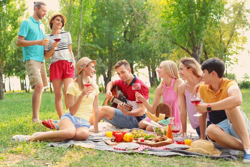 družinski piknik