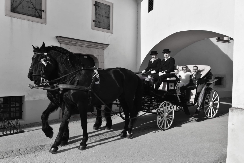 Poročni prevozi s kočijo po Sloveniji