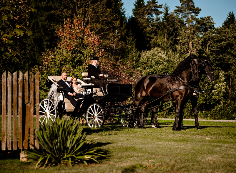 Prevozi s kočijo Slovenija