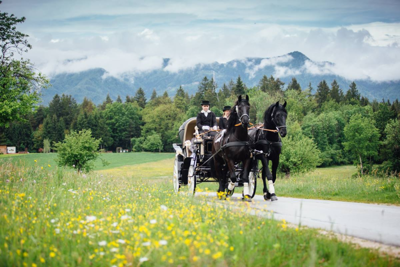 Poročni prevoz s kočijo